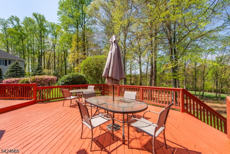 INDEPENDENCE HILLS - Residential