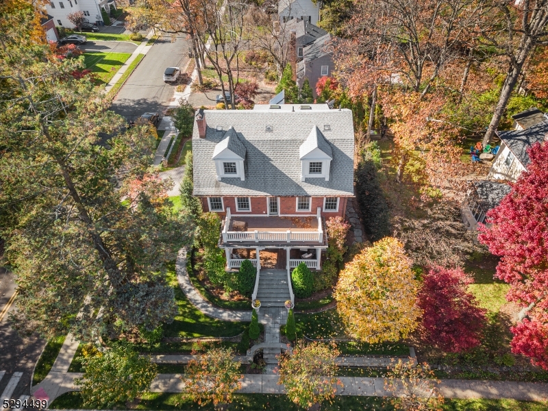 67 Tulip St