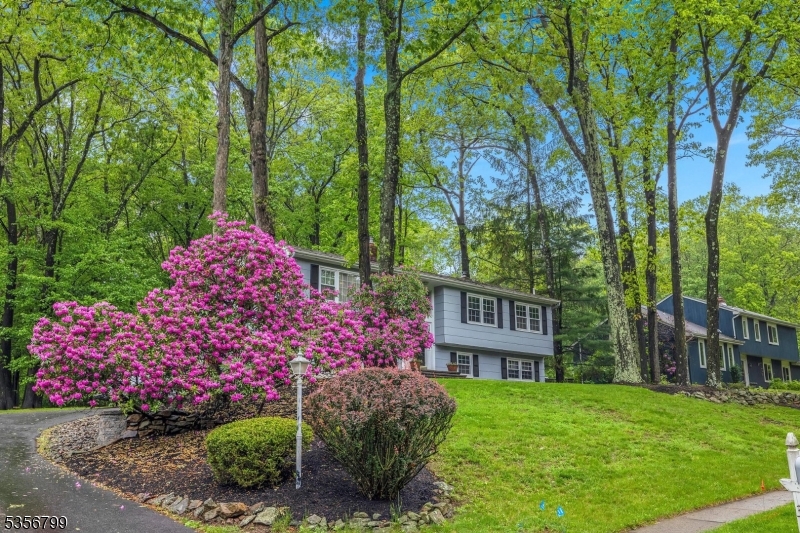 Nestlingwood - Residential