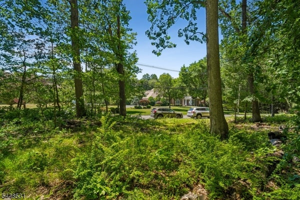 210 KING GEORGE RD, WARREN, NJ 07059 - Image 3eeb68643d5a2642eeac0c7d82680bfa/90686985