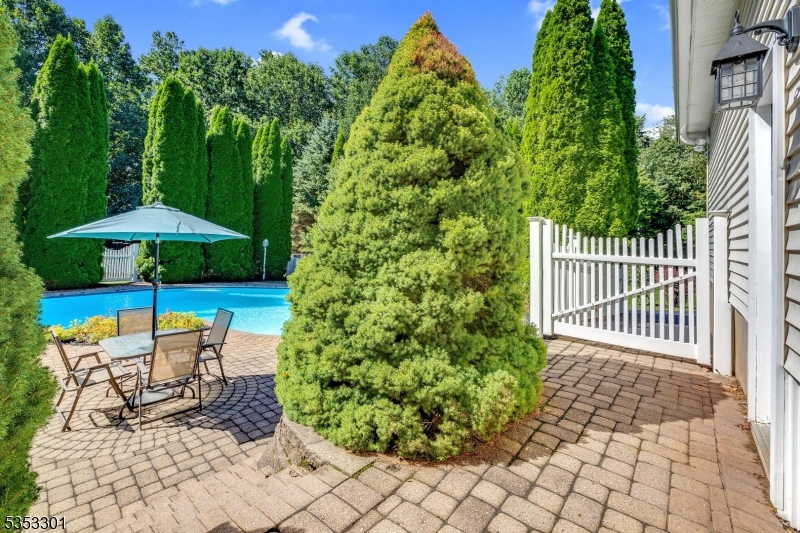 Mountain - Residential