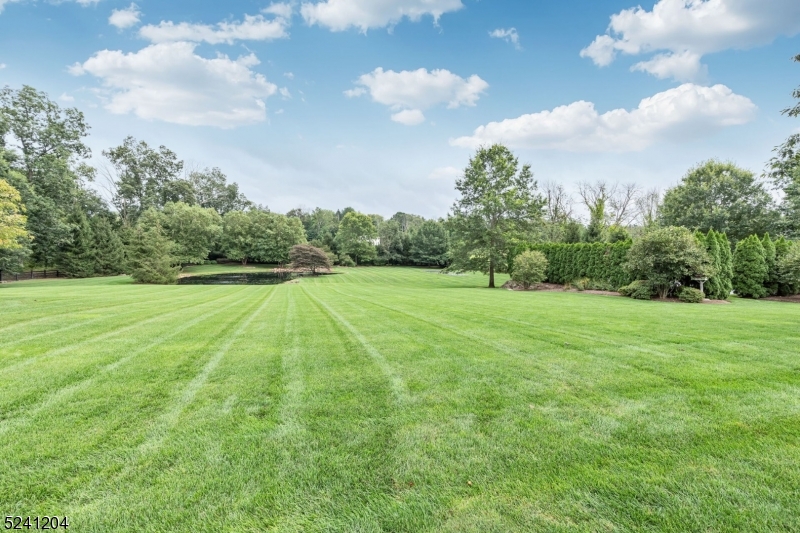 Teetertown Ravine - Residential