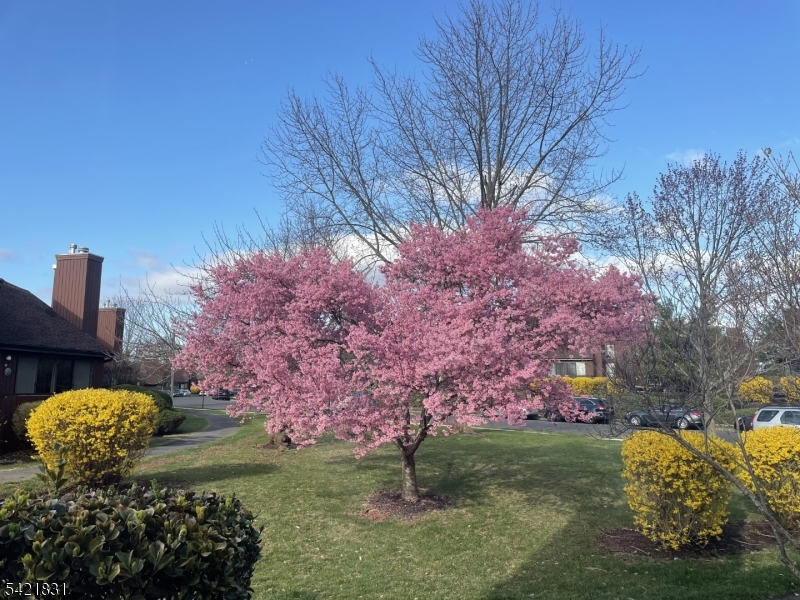 The Glen - Residential