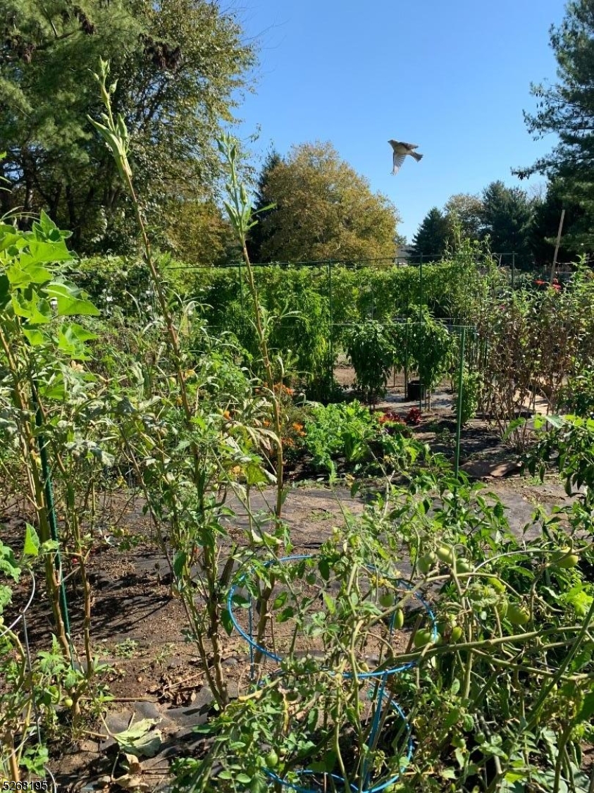 Greenbriar Whittingham - Residential