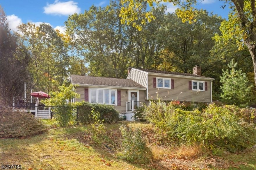 Tucked away in a tranquil neighborhood of Roxbury, is a wonderful split-level home just waiting to embrace its new owners with all the warmth, comfort and amenities it has to offer. This home has 4 spacious bdrms and 3 full bths, it caters to multiple needs with ease. The primary bdrm with walk-in closet ensures your personal space is always organized. Harwood flrs add timeless charm to its expansive rooms. Storage abounds, with ample closet space thru out. The 23x14 family rm, complete w/fireplace and 2 closets, is the perfect hub for cozy gatherings. Temperature control is a breeze thanks to the 3-zone heat & efficient 1-zone central air, Vinyl windows tilt in for ease of cleaning, plus new vinyl gliders in basement. A smart water system for endless hot water, and the property's eco-friendly features include transferable solar panels, a new Roth tank, a separate electrical panel for generator hookup. The property shines with its exterior amenities, A two car garage, vinyl siding, a generous shed, & a freshly laid driveway elevate the curb appeal. The true magic awaits in the backyard. The fully fenced yard opens to a haven of outdoor delight for your enjoyment, including a Trex deck, a paver & concrete patio, and a magnificent 28x14 lit and heated in-ground pool your very own oasis for creating lifelong memories. Don't miss this Opportunity. Embrace a life of comfort, and endless entertainment. Sold As Is, No known concerns. 1 Yr Home Warranty