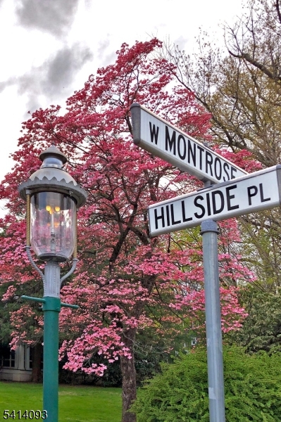 West Montrose - Residential