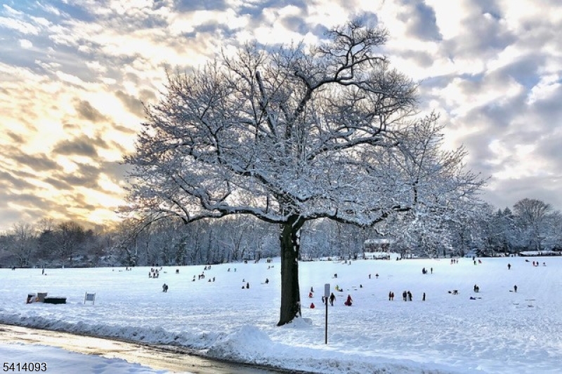 West Montrose - Residential