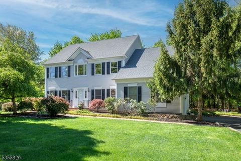 3349 Lukes Pond Rd Branchburg Twp. NJ 08876