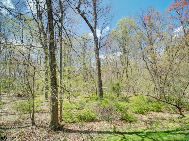 Morris Chase - Residential Lease