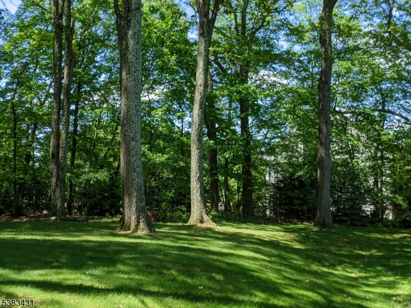 Highlands - Residential