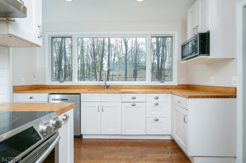 Puddingstone area - Residential