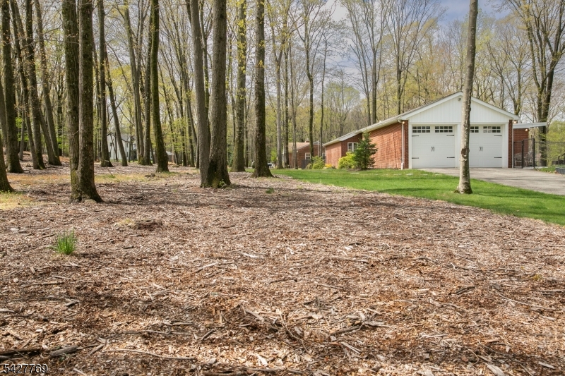 Puddingstone area - Residential