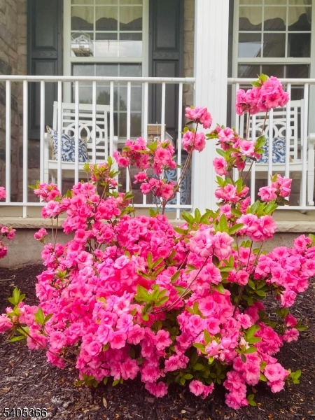 Oak Hill - Residential