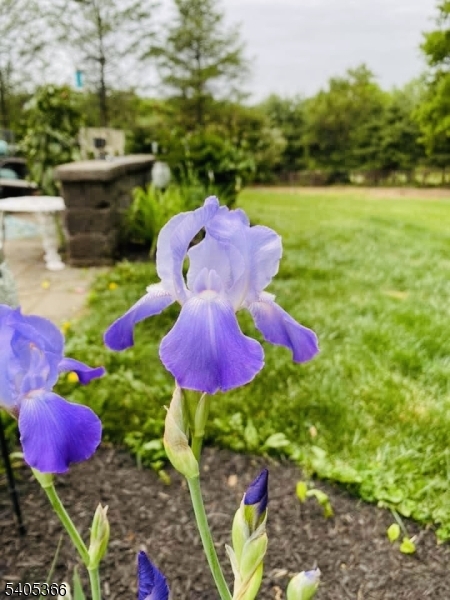 Oak Hill - Residential