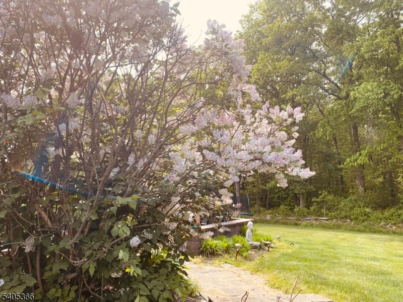 Oak Hill - Residential