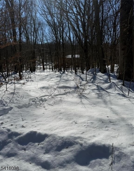 Round Hill Manor - Land