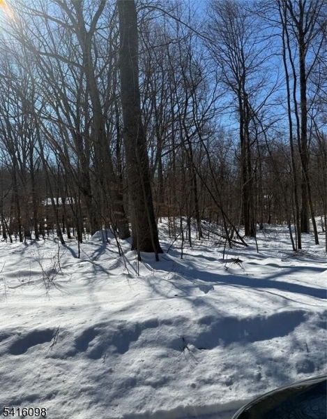 Round Hill Manor - Land