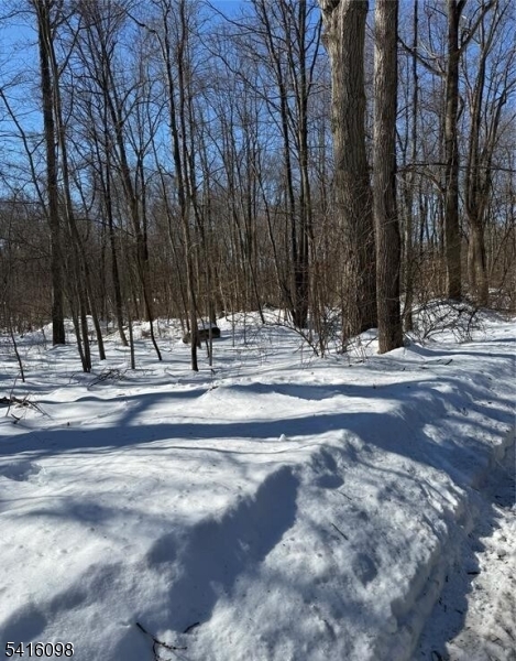 Round Hill Manor - Land