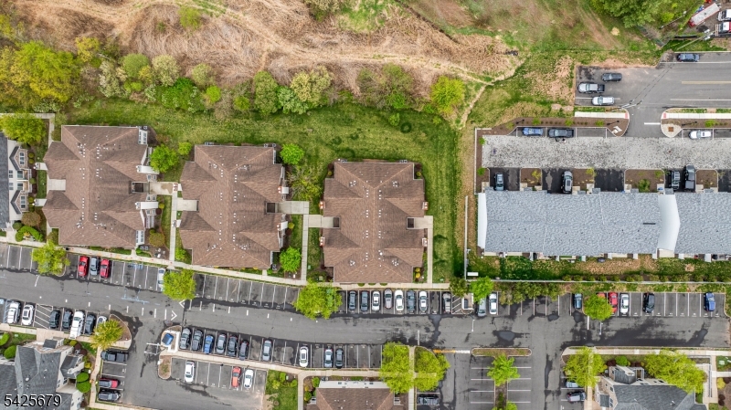 Maple Grove - Residential