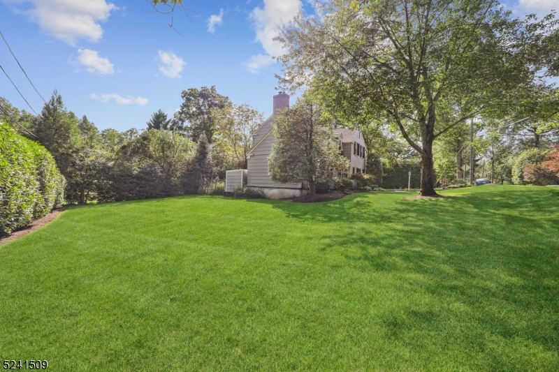 Old Short Hills - Residential