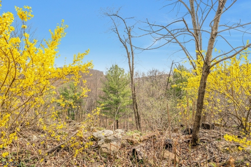 Rock Creek Crossing - Residential