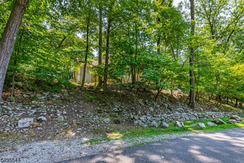 Cedar Lake - Residential