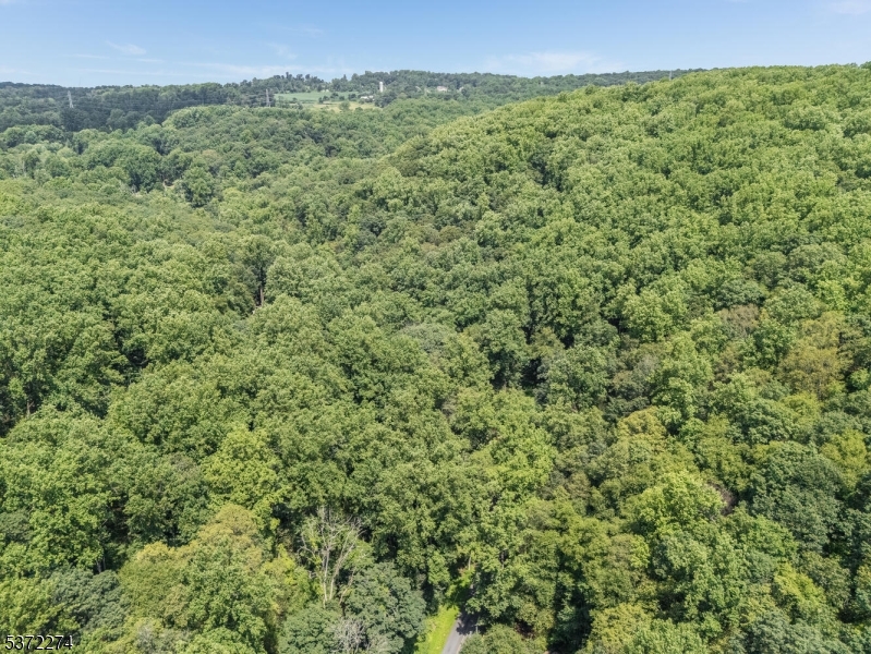 Holland Twp., New Jersey 08848, United States, ,Land,Active,176207