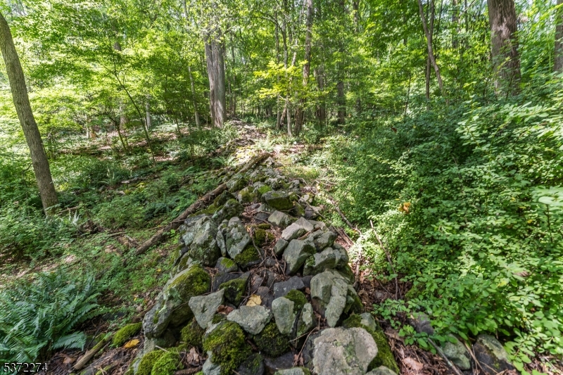 Holland Twp., New Jersey 08848, United States, ,Land,Active,176207