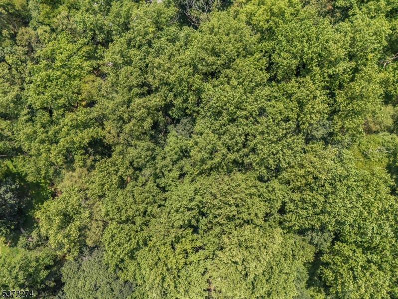 Holland Twp., New Jersey 08848, United States, ,Land,Active,176207