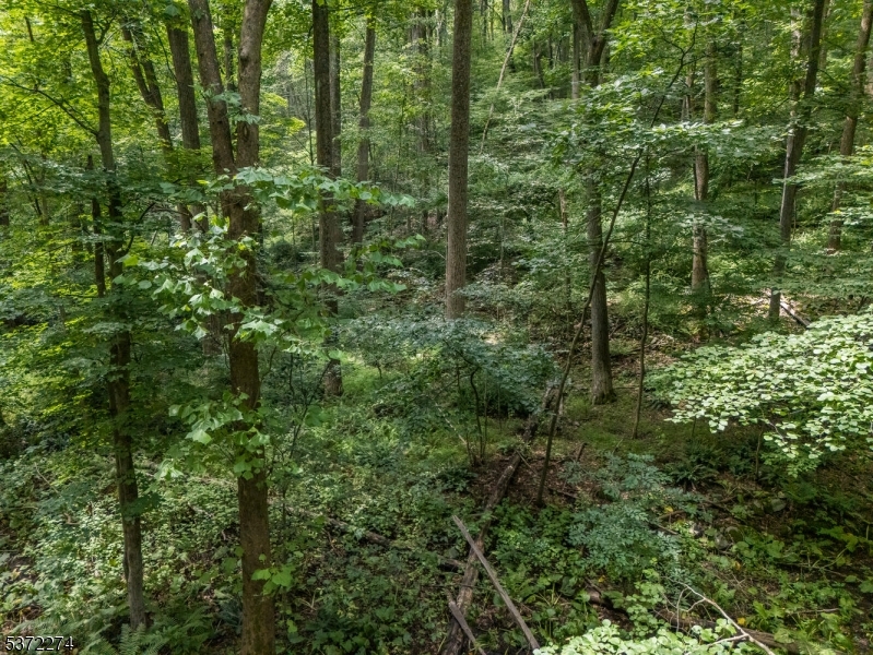 Holland Twp., New Jersey 08848, United States, ,Land,Active,176207