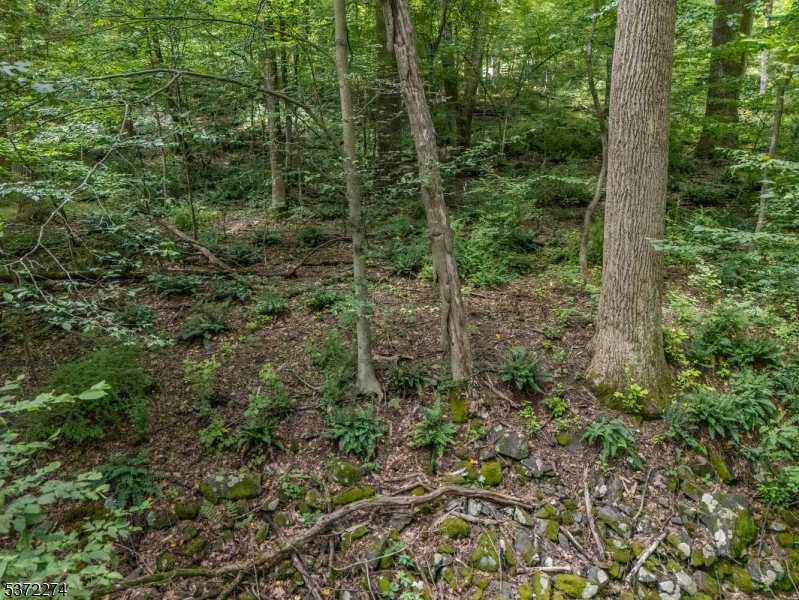 Holland Twp., New Jersey 08848, United States, ,Land,Active,176207