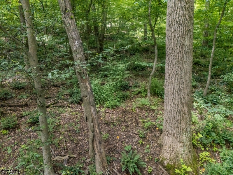 Holland Twp., New Jersey 08848, United States, ,Land,Active,176207