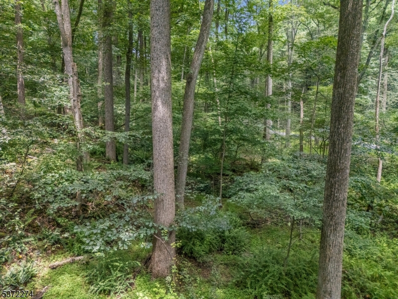 Holland Twp., New Jersey 08848, United States, ,Land,Active,176207