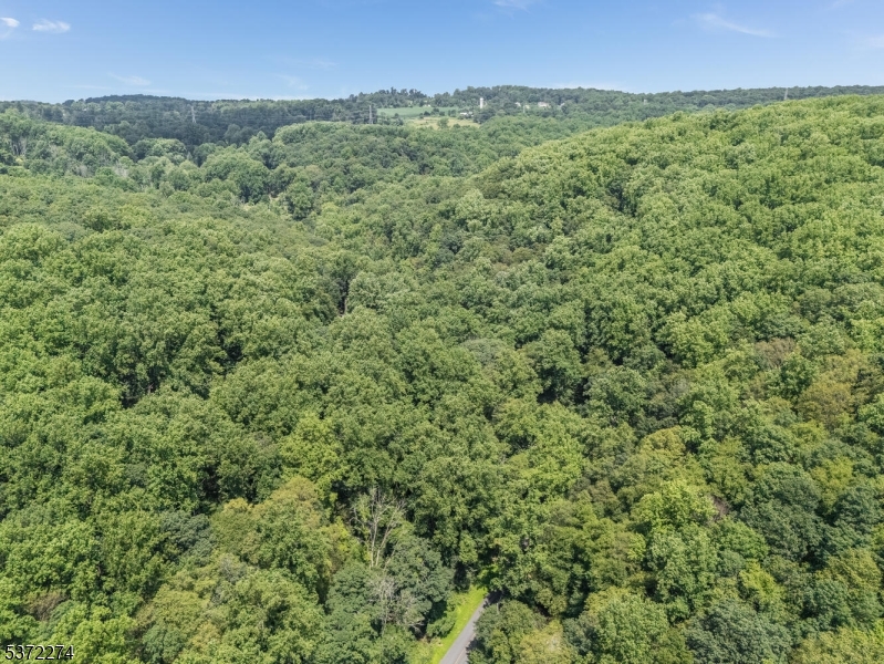 Holland Twp., New Jersey 08848, United States, ,Land,Active,176207