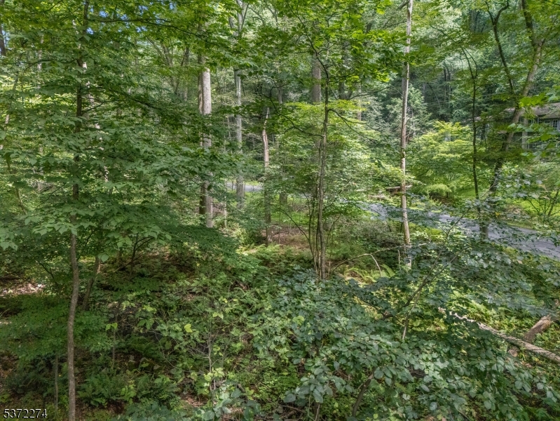 Holland Twp., New Jersey 08848, United States, ,Land,Active,176207