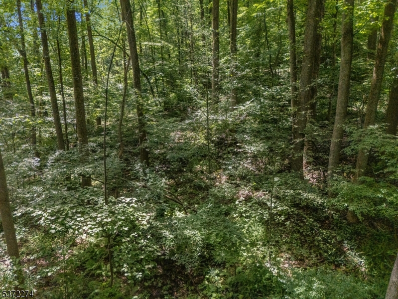 Holland Twp., New Jersey 08848, United States, ,Land,Active,176207