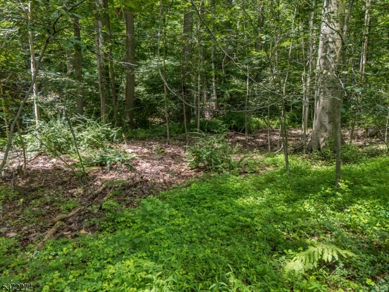 Holland Twp., New Jersey 08848, United States, ,Land,Active,176207