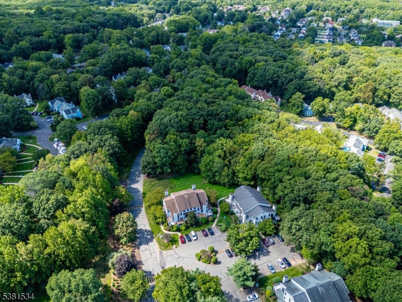 Maples - Residential