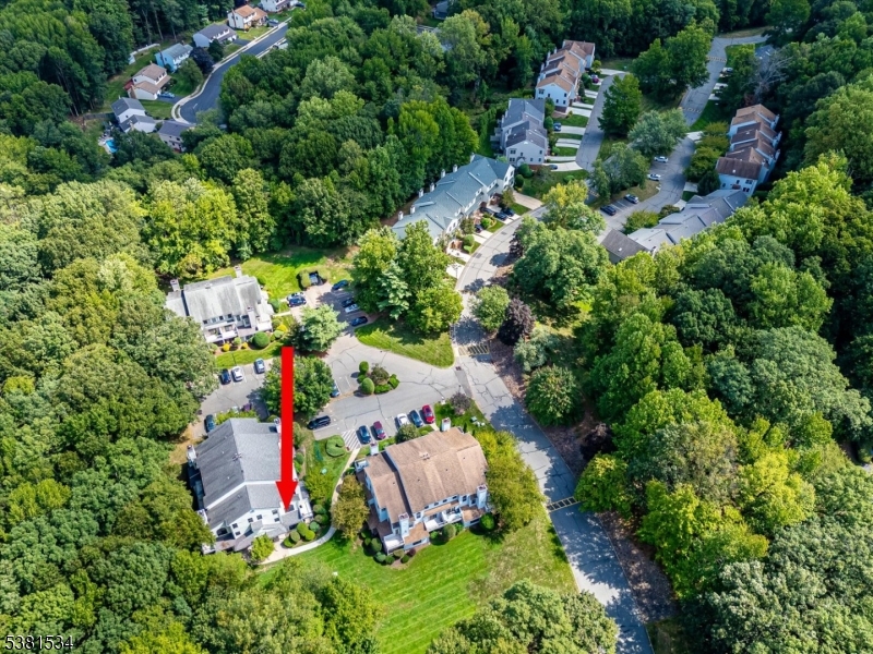 Maples - Residential