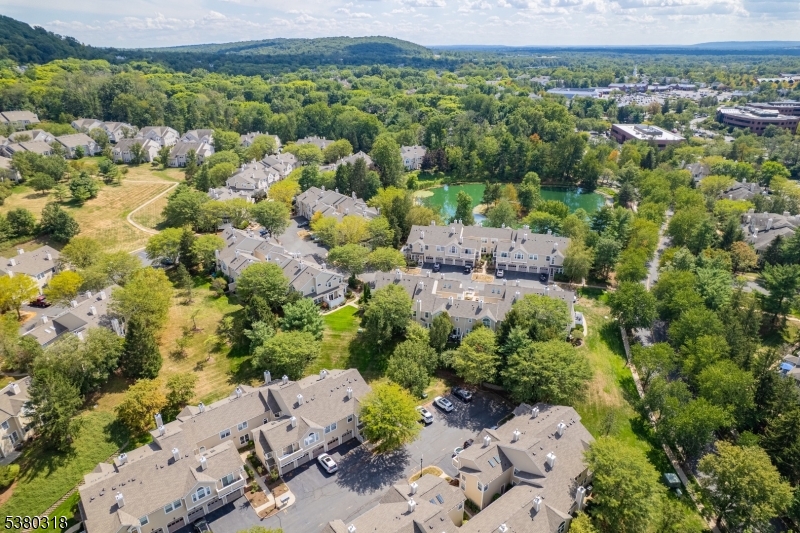 Wood Duck Pond - Residential