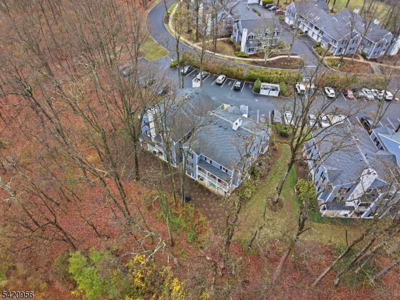 Countryside Manor - Residential