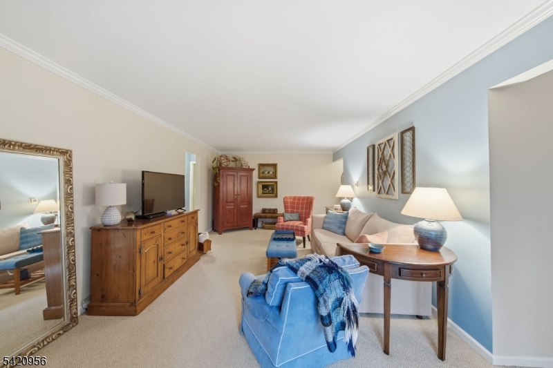 Countryside Manor - Residential