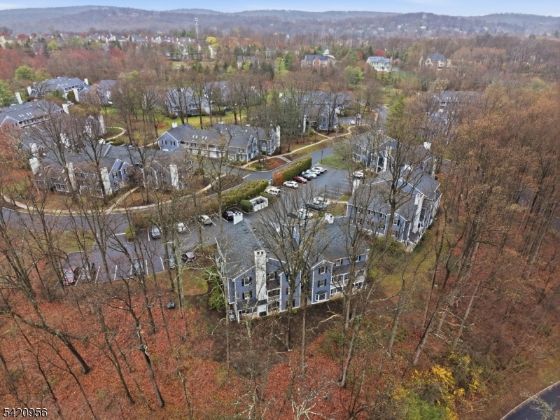 Countryside Manor - Residential