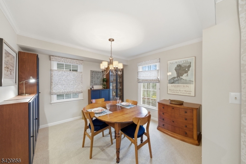 Countryside Manor - Residential