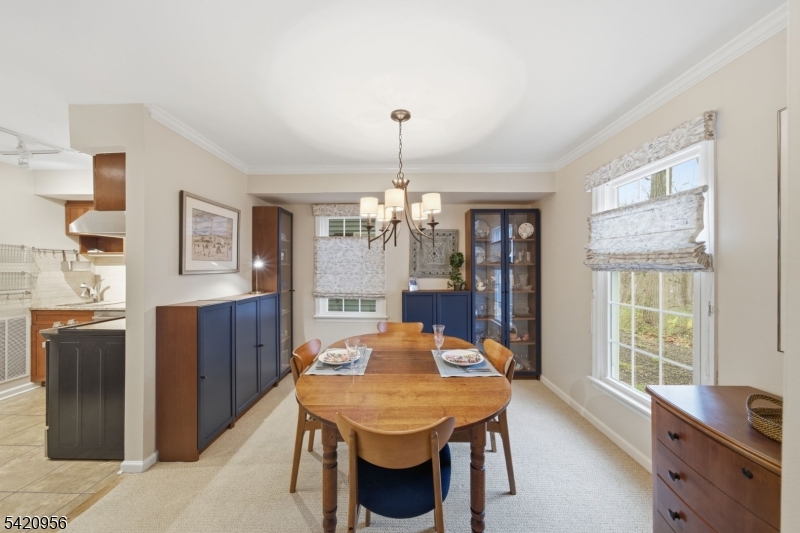 Countryside Manor - Residential