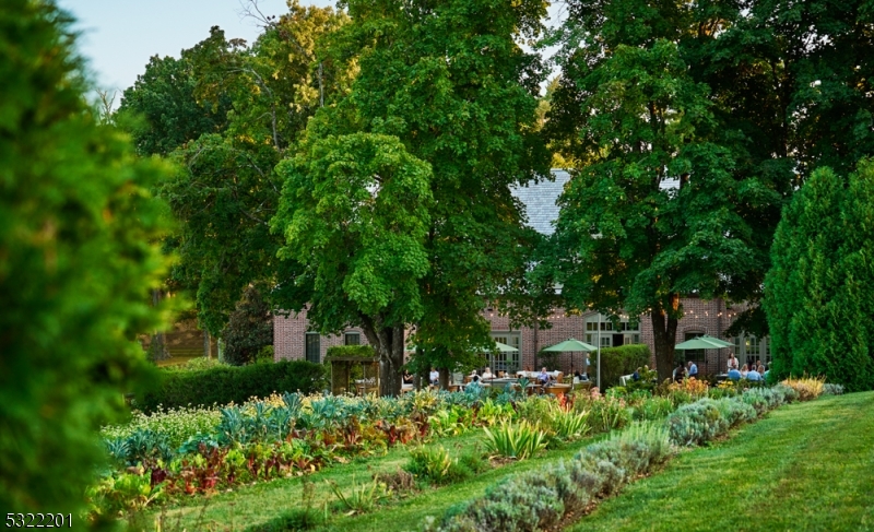 Pendry Residences Natirar - Residential