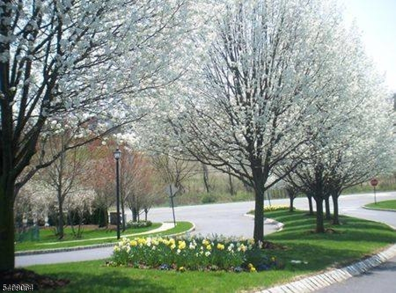 Overlooko - Residential