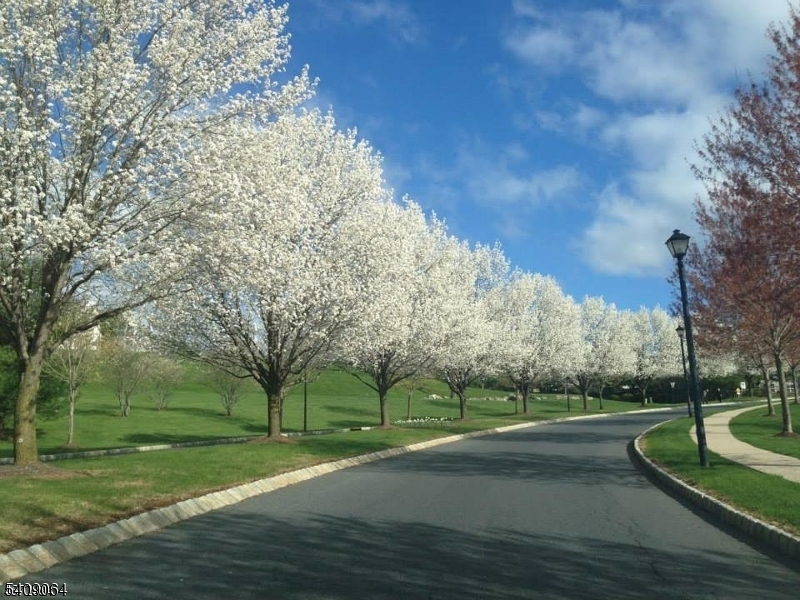 Overlooko - Residential