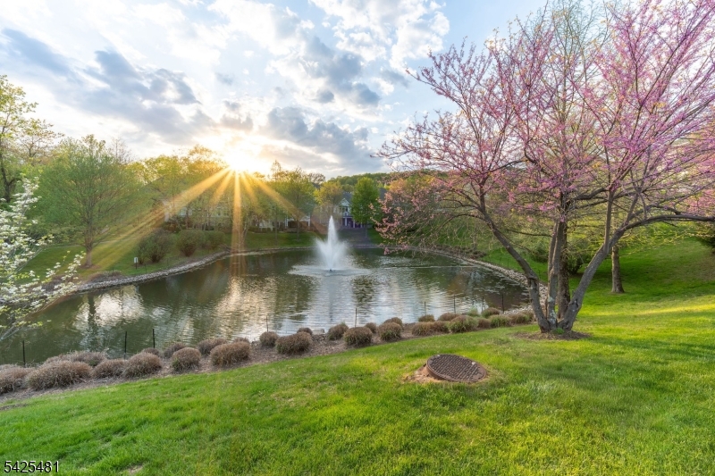 Four Seasons Promenade - Residential