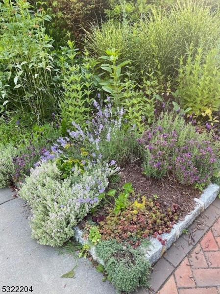 Estate Section - Residential